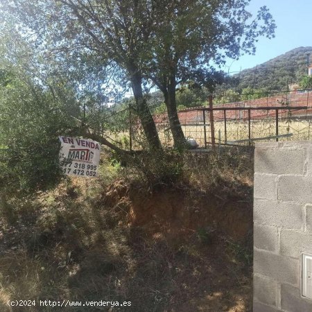 Finca en venta en Alforja (Tarragona)