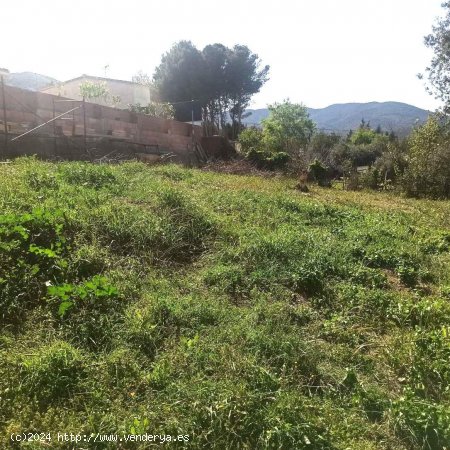 Finca en venta en Alforja (Tarragona)