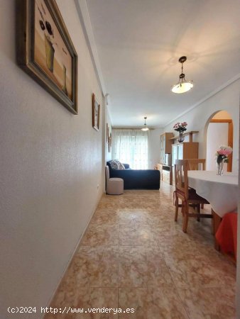 Apartamento en venta en Torrevieja (Alicante)