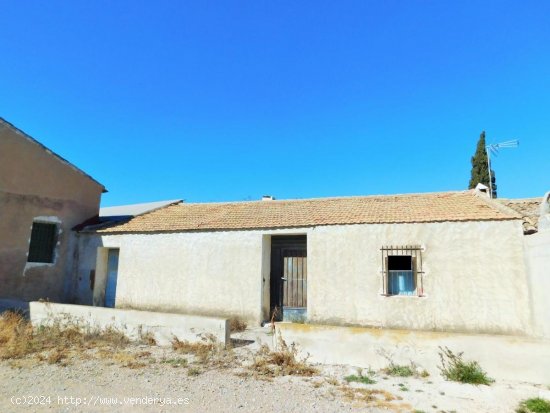 Finca en venta en Orihuela (Alicante)