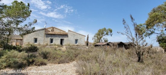 Finca en venta en Orihuela (Alicante)