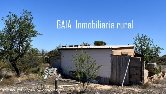 Finca en venta en Maella (Zaragoza)