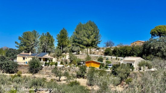 Finca en venta en Alicante (Alicante)