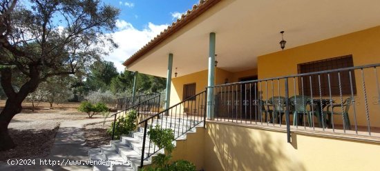 Casa en venta en Useras (Castellón)