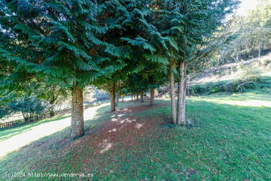 Casa en venta en Campo Lameiro (Pontevedra)