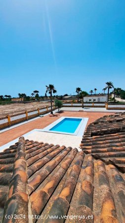 Chalet en venta en Catral (Alicante)