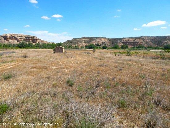 Finca en venta en Fabara (Zaragoza)