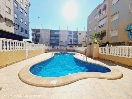  Apartamento en venta en Torrevieja (Alicante) 