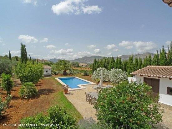 Finca en venta en Alicante (Alicante)