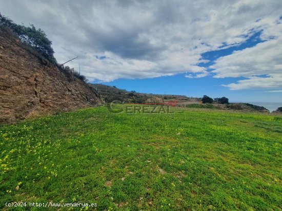 Parcela en alquiler en Vélez-Málaga (Málaga)