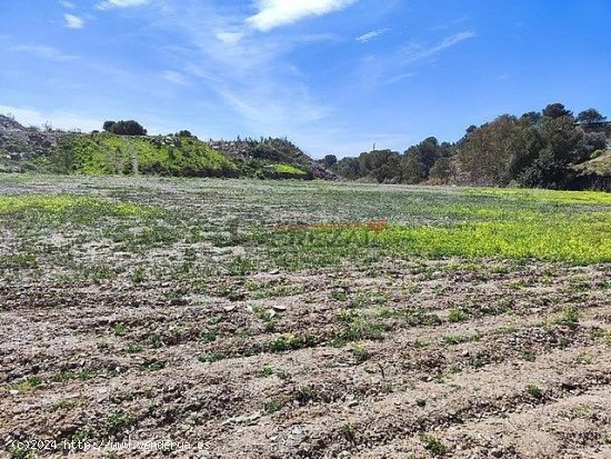 Parcela en alquiler en Almayate (Málaga)