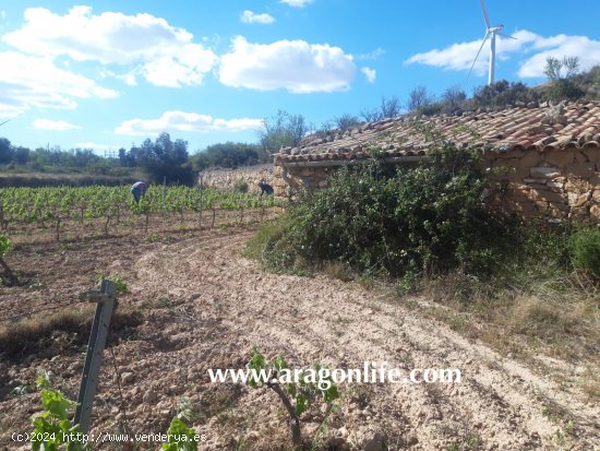  Finca en venta en Gandesa (Tarragona) 