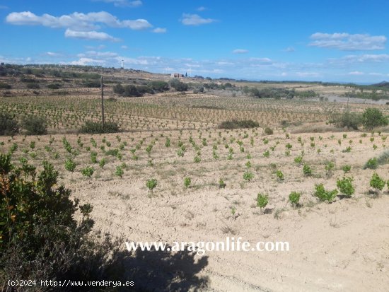 Finca en venta en Gandesa (Tarragona)