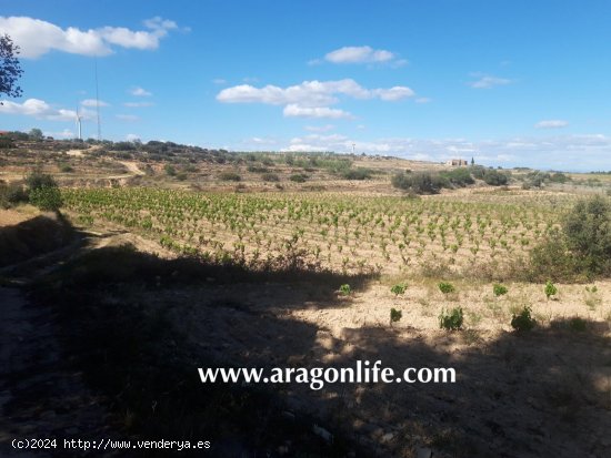 Finca en venta en Gandesa (Tarragona)