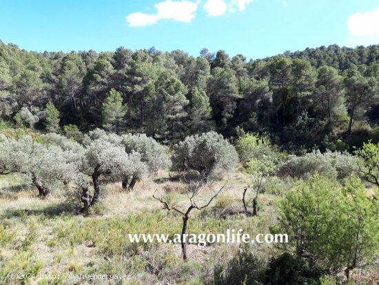  Finca en venta en Gandesa (Tarragona) 