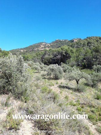 Finca en venta en Gandesa (Tarragona)