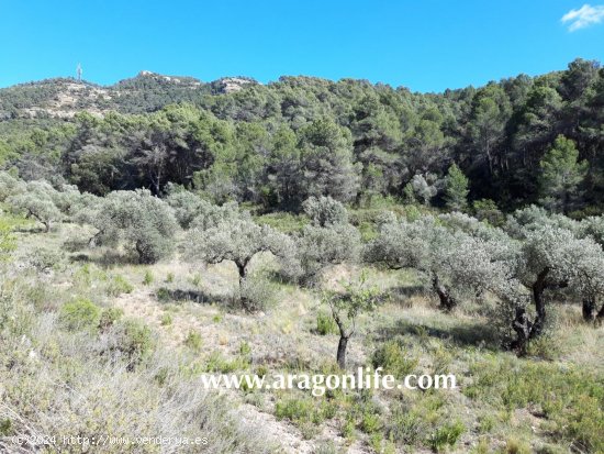 Finca en venta en Gandesa (Tarragona)