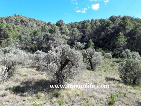 Finca en venta en Gandesa (Tarragona)