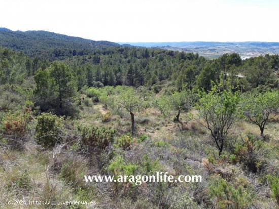  Finca en venta en Gandesa (Tarragona) 