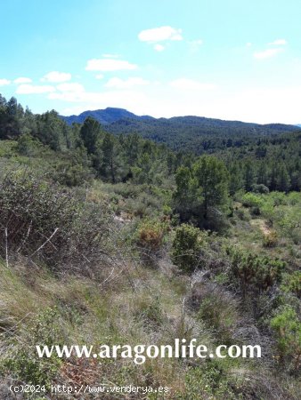 Finca en venta en Gandesa (Tarragona)