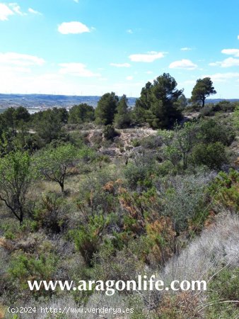 Finca en venta en Gandesa (Tarragona)