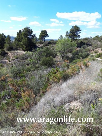 Finca en venta en Gandesa (Tarragona)