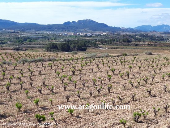  Finca en venta en Gandesa (Tarragona) 