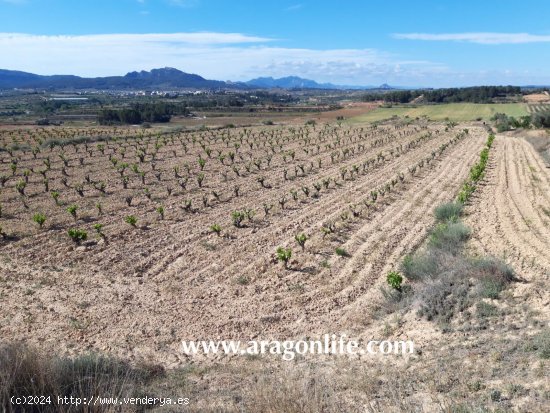 Finca en venta en Gandesa (Tarragona)