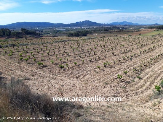 Finca en venta en Gandesa (Tarragona)