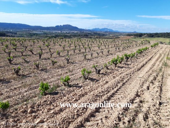 Finca en venta en Gandesa (Tarragona)