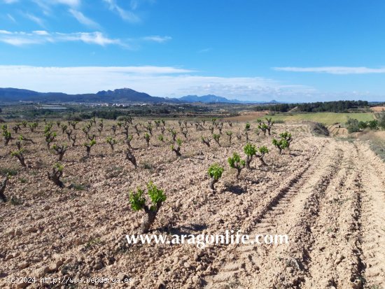 Finca en venta en Gandesa (Tarragona)