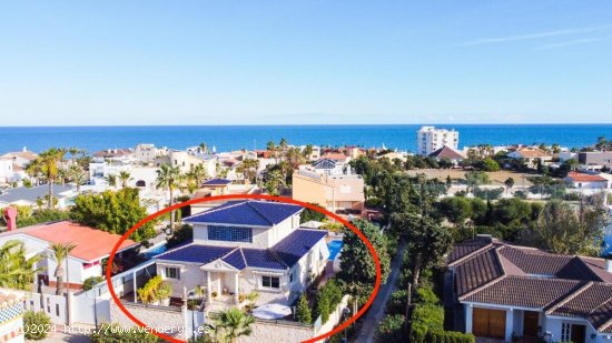  Villa en venta en Torrevieja (Alicante) 