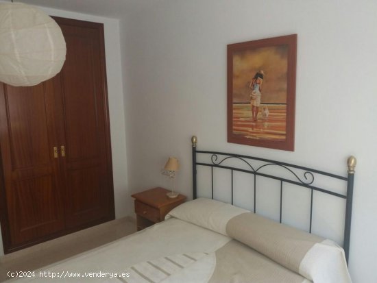 Apartamento en alquiler en Torrox (Málaga)