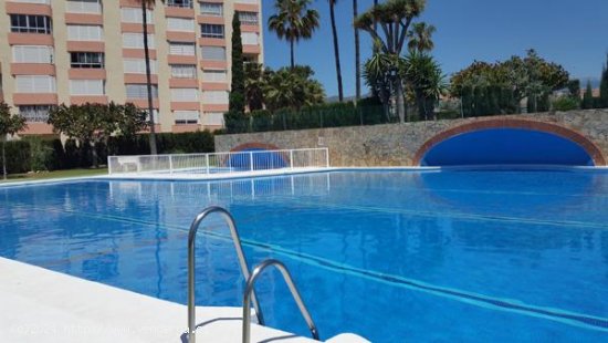  Apartamento en alquiler en Torrox (Málaga) 