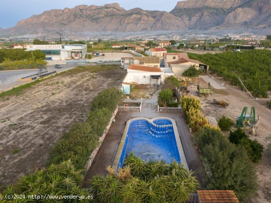 Finca en venta en Orihuela (Alicante)