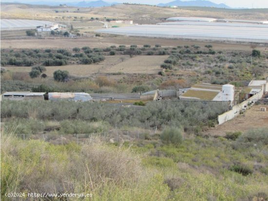 Villa en venta en Los Gallardos (Almería)