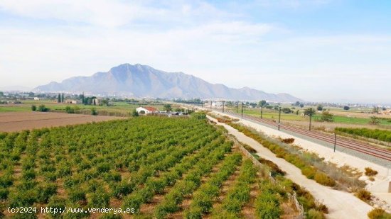  Finca en venta en Callosa de Segura (Alicante) 