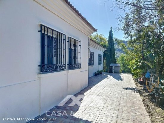 Finca en venta en Cómpeta (Málaga)