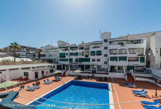  Apartamento en alquiler en Almuñécar (Granada) 