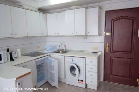 Apartamento en alquiler en Guardamar del Segura (Alicante)