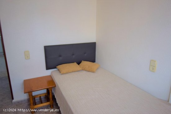 Apartamento en alquiler en Guardamar del Segura (Alicante)