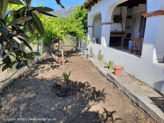 Finca en venta en Casarabonela (Málaga)