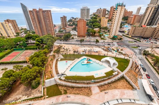 Apartamento en venta en Benidorm (Alicante)