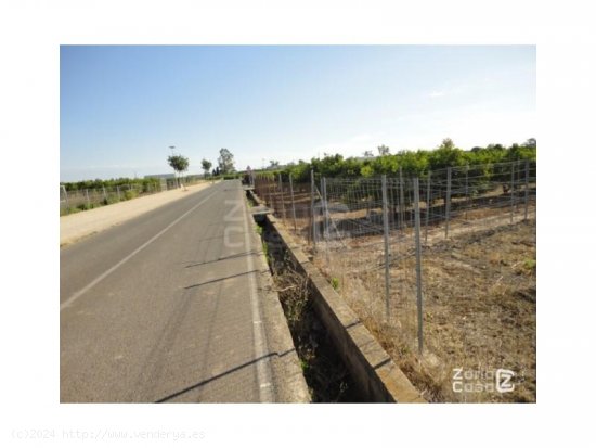 Finca en venta en Algemesí (Valencia)