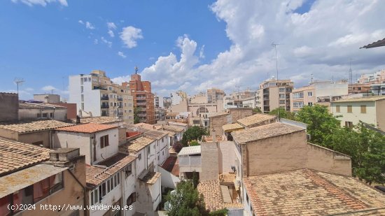  Apartamento en alquiler en Palma de Mallorca (Baleares) 