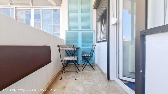 Apartamento en alquiler en Palma de Mallorca (Baleares)