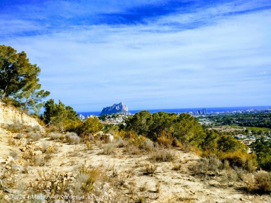  Parcela en venta en Calpe (Alicante) 