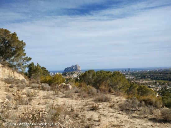 Parcela en venta en Calpe (Alicante)