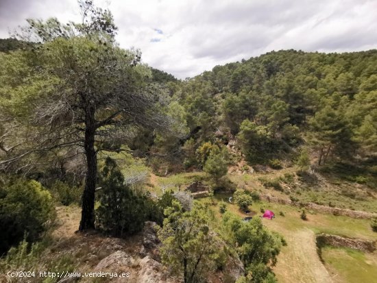 Finca en venta en Ráfales (Teruel)