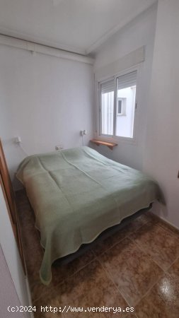 Piso en venta en Torrevieja (Alicante)